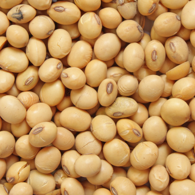 Soya beans